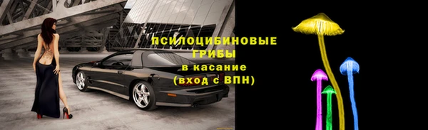 гидропоника Аркадак
