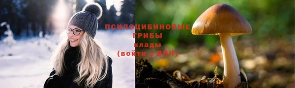дурь Армянск